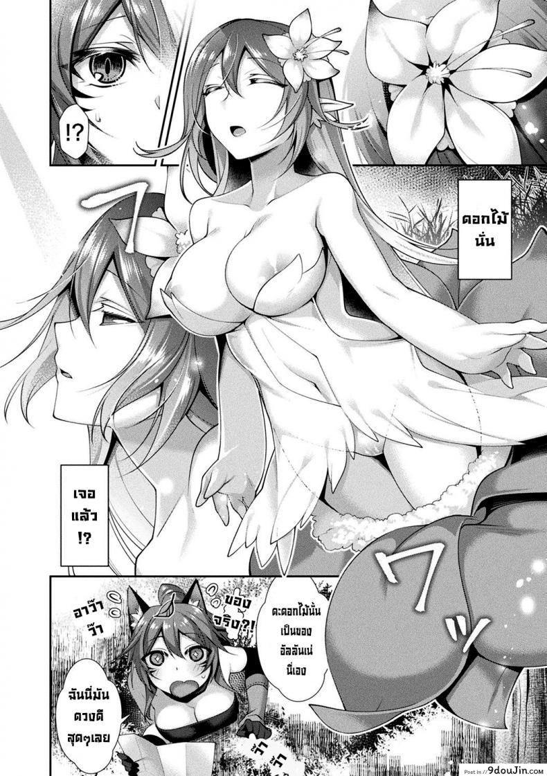 อ่านโดจิน เอลม่ากับดอกไม้ที่ตามหา [Konshin] Eruma to Maboroshi no Hana