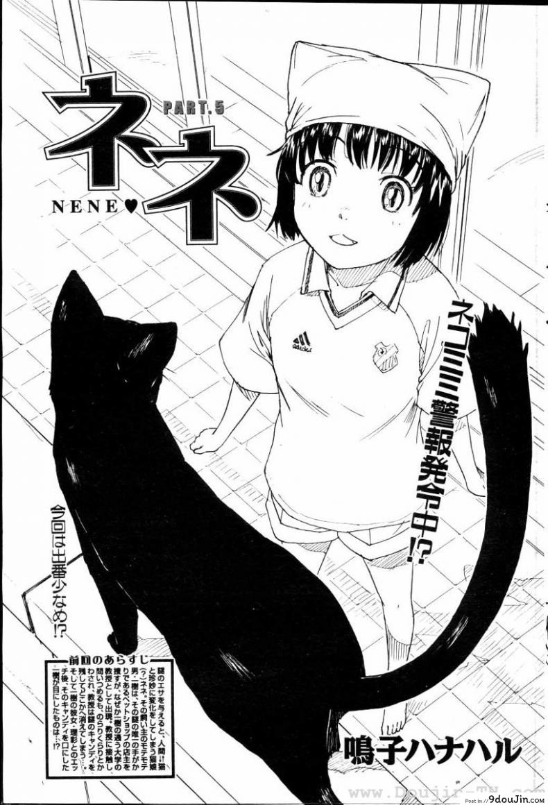เนเนะ นางแมวสาว [Naruko Hanaharu] Nene ภาค 5