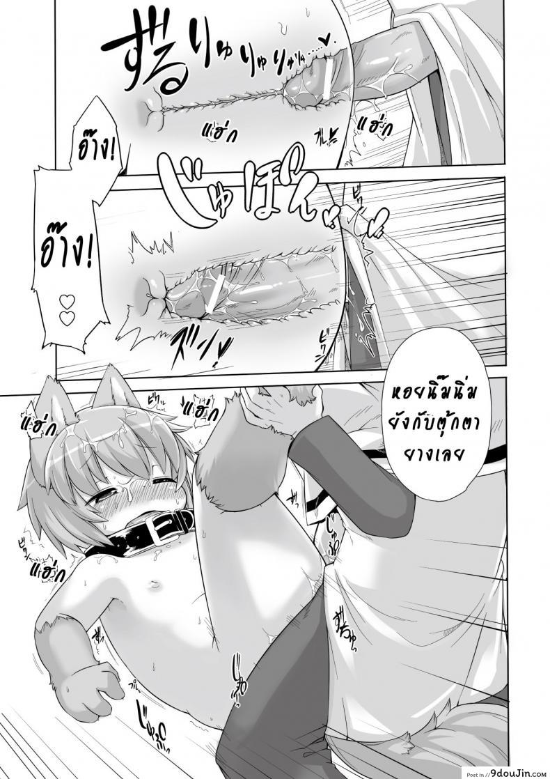 3278b8a0f52de0ff1c0d6cc1581ee50d