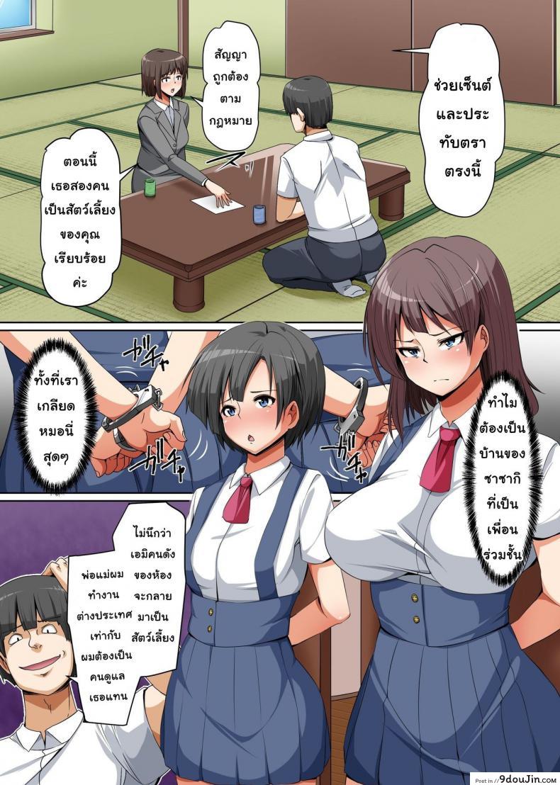 3fb5ed13afe8714a7e5d13ee506003dd