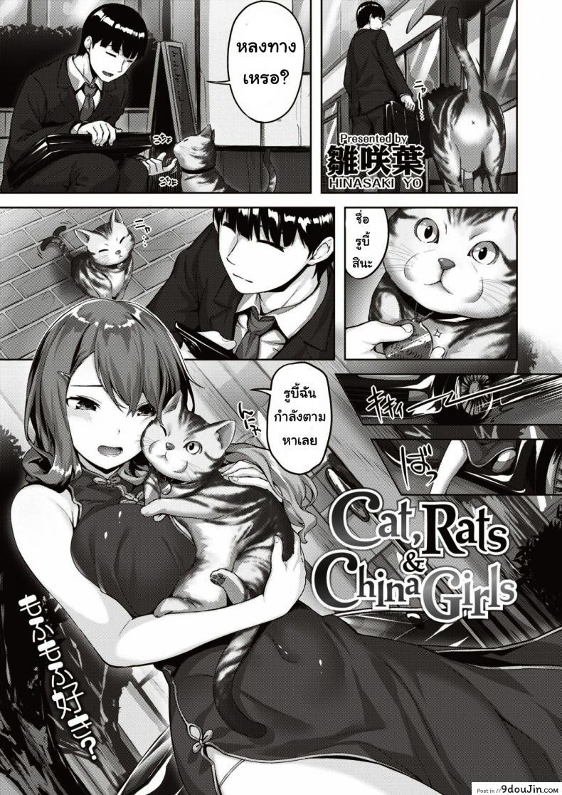 เจอแมวหลงทาง [Hinasaki yo] Cat, Rats&#038;China Girls, นายโดจิน โดจินแปลไทย