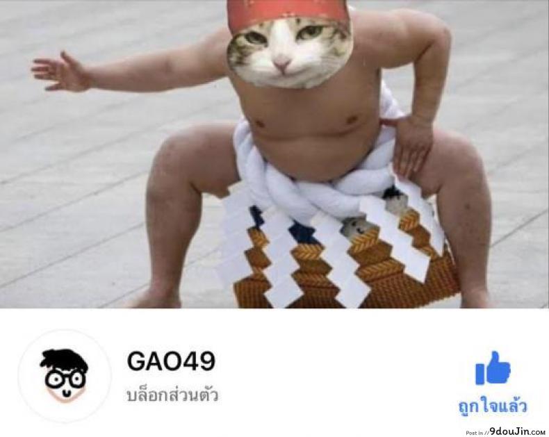 อ่านโดจิน นายออกคำสั่ง ฟังแล้วต้องทำ (C93) [ZIGZAG (Hirno)] Reiju o Motte Hoshi 4 Servant to Ecchi Shitai - I want to use my Command Seals to have sex with 4-star Servants! (Fate Grand Order)