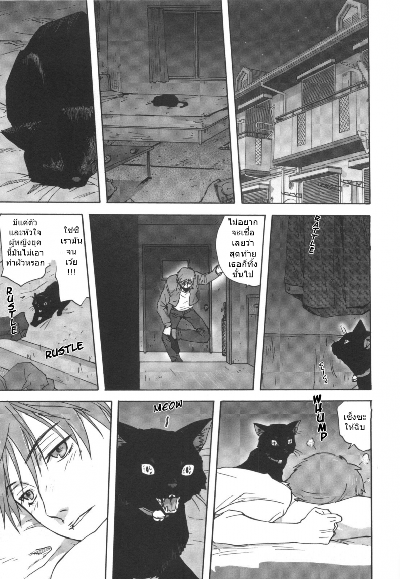 เป็นชั้นได้ซิน่ะ [Mitarashi kousei] Black Cat Crossing, นายโดจิน โดจินแปลไทย