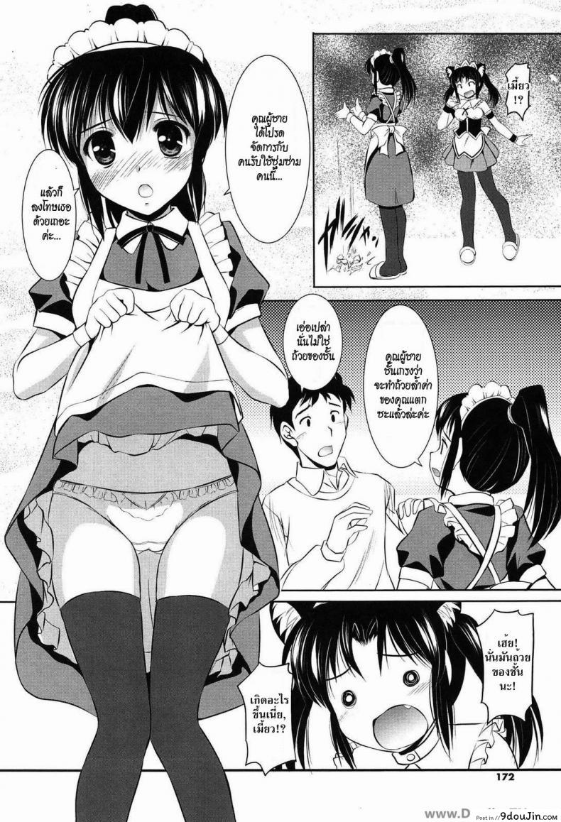 อ่านโดจิน คุณผู้ชายชอบแบบไหนค่ะ [Takuya Mizushiro] Which Would You Like?