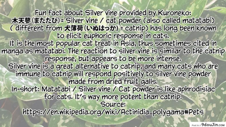 อ่านโดจิน ให้เทพแมวช่วยรีดน้ำ [Suzuhane Suzu] Boy Meets Nyaa God | Boy meets Cat Goddess (COMIC ExE 04)