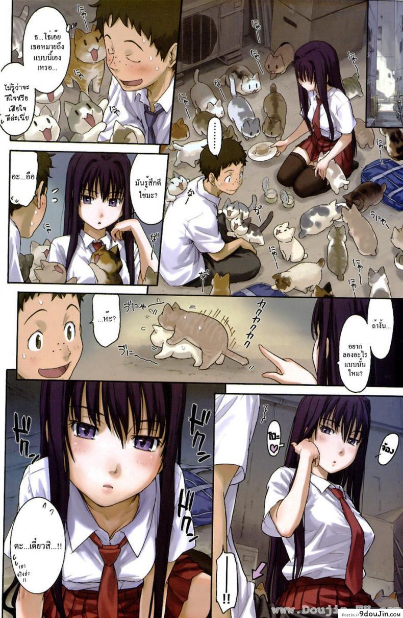 อ่านโดจิน พลอดรักกลางดงแมว [Naruko Hanaharu] Lick Me Pussycat