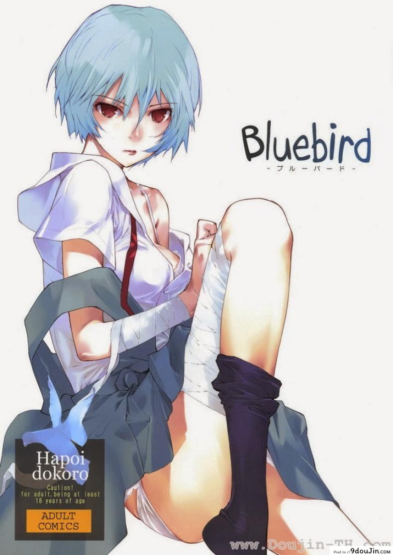 อีวานเกเลียน &#8211; นกสีน้ำเงิน (C77) [Hapoi-dokoro (Okazaki Takeshi)] Bluebird (Neon Genesis Evangelion), นายโดจิน โดจินแปลไทย
