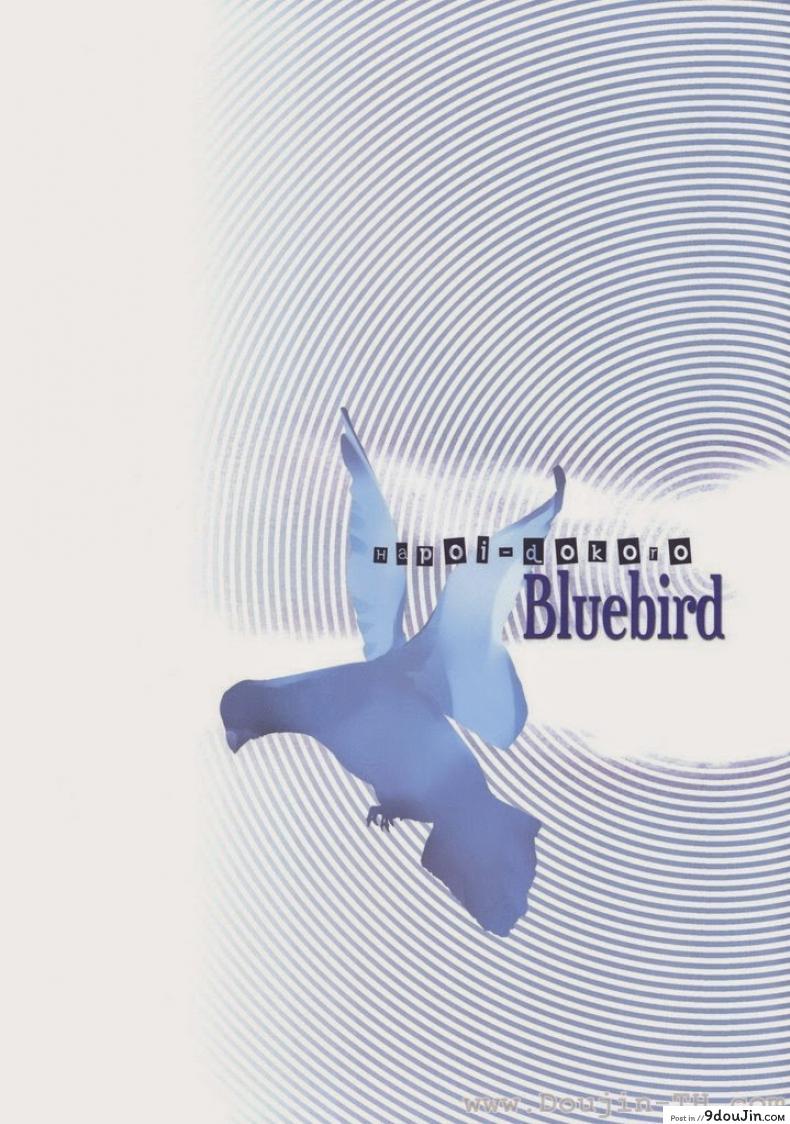 อ่านโดจิน อีวานเกเลียน - นกสีน้ำเงิน (C77) [Hapoi-dokoro (Okazaki Takeshi)] Bluebird (Neon Genesis Evangelion)