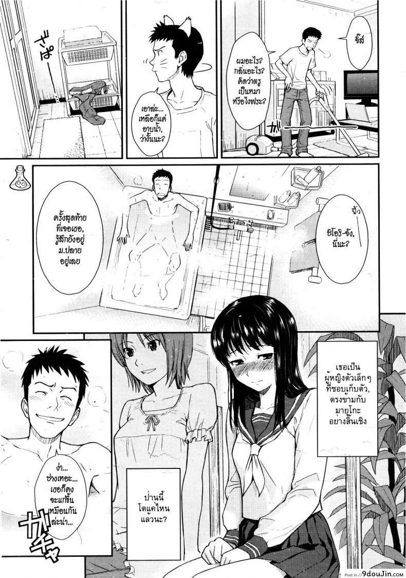 0c2bd9aed8eeb3436b7cf20de8ee9c0c