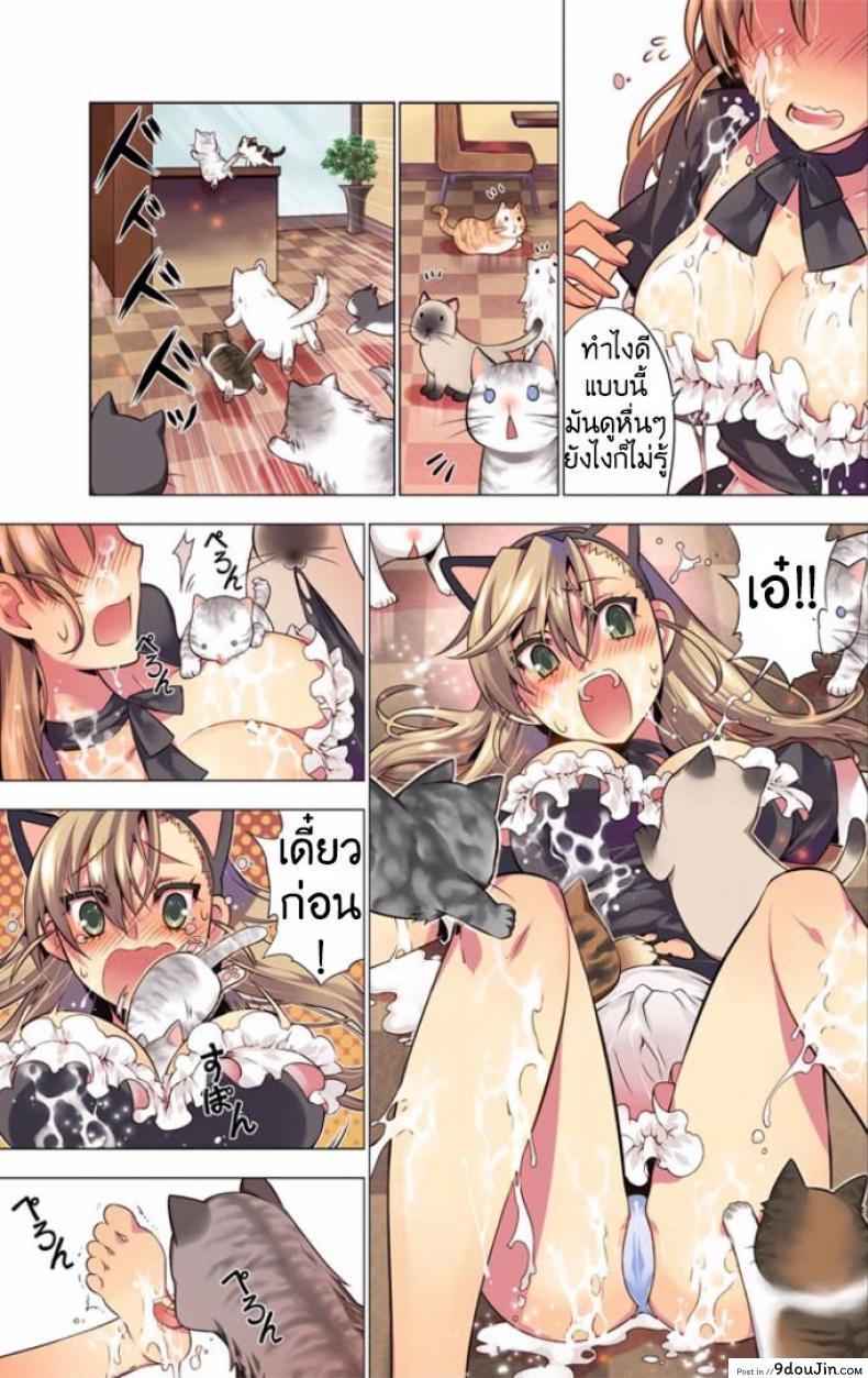 5b1c47d9608250c35aa20a18e548c821