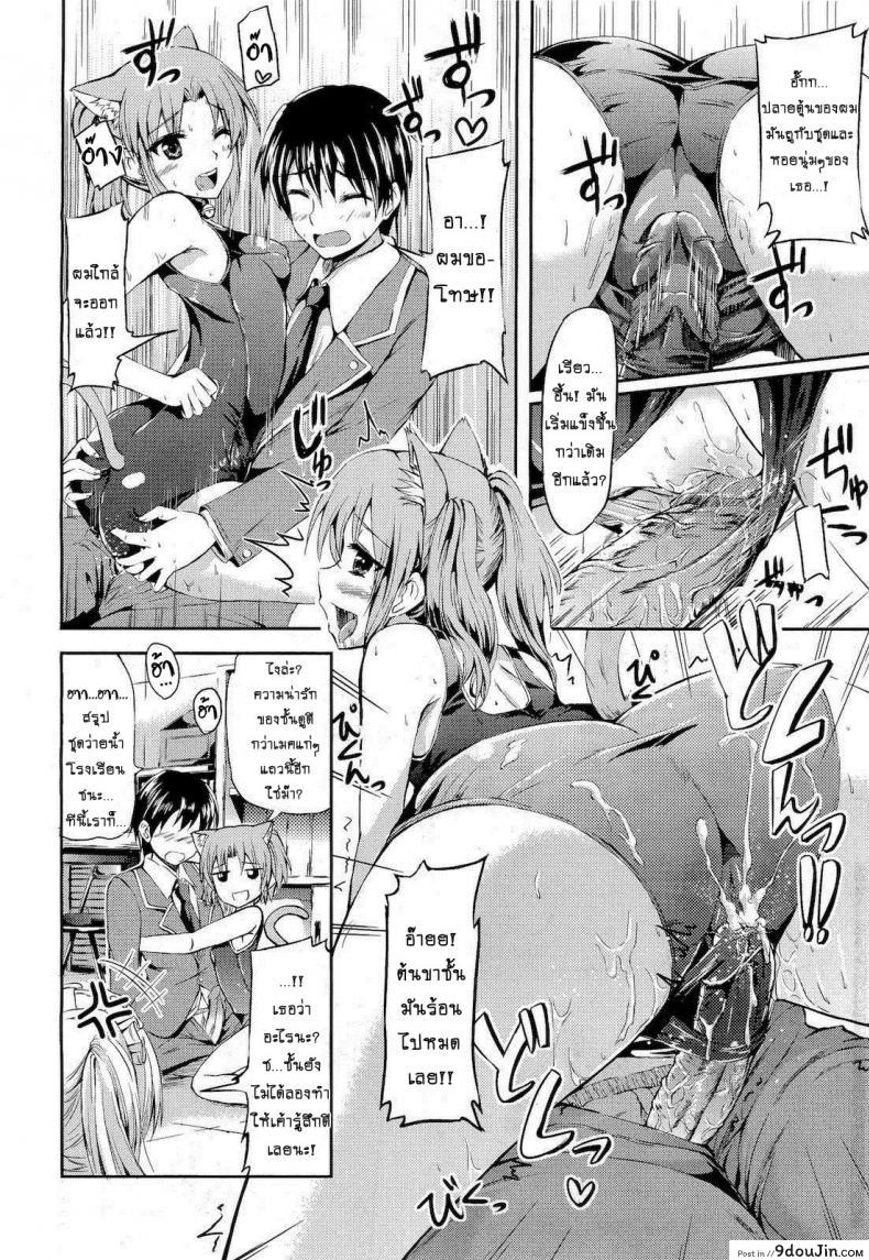 อ่านโดจิน เมดกะเหมียวขอเกี่ยวหัวใจ [Kamishiro Ryu] School Maid