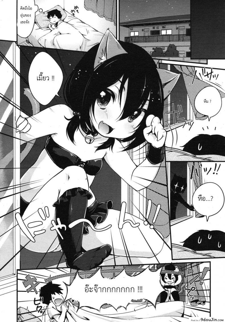 11f5315d0fdebb3df4e4554339df02f2