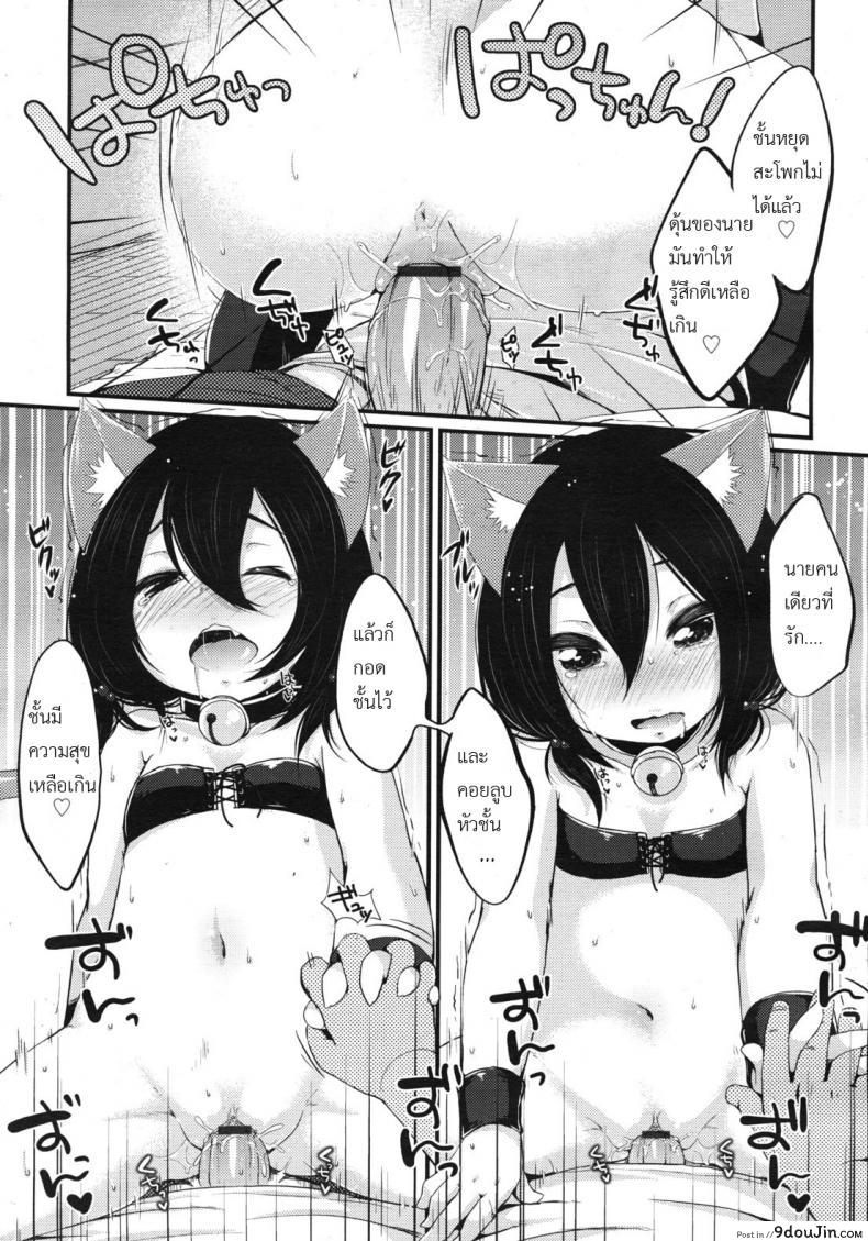 8875211eb032e0152b558229b52a9b2b