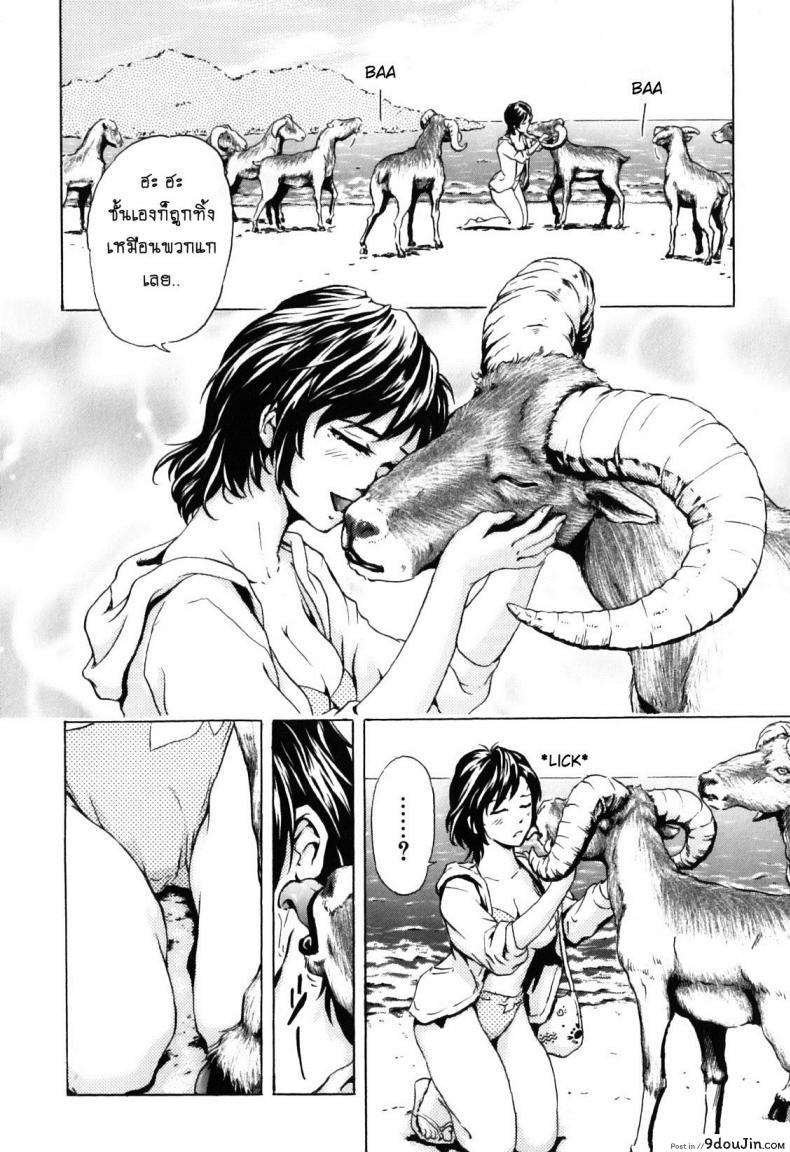 3955b0cbeeb7b17e165186d46f3b3cce