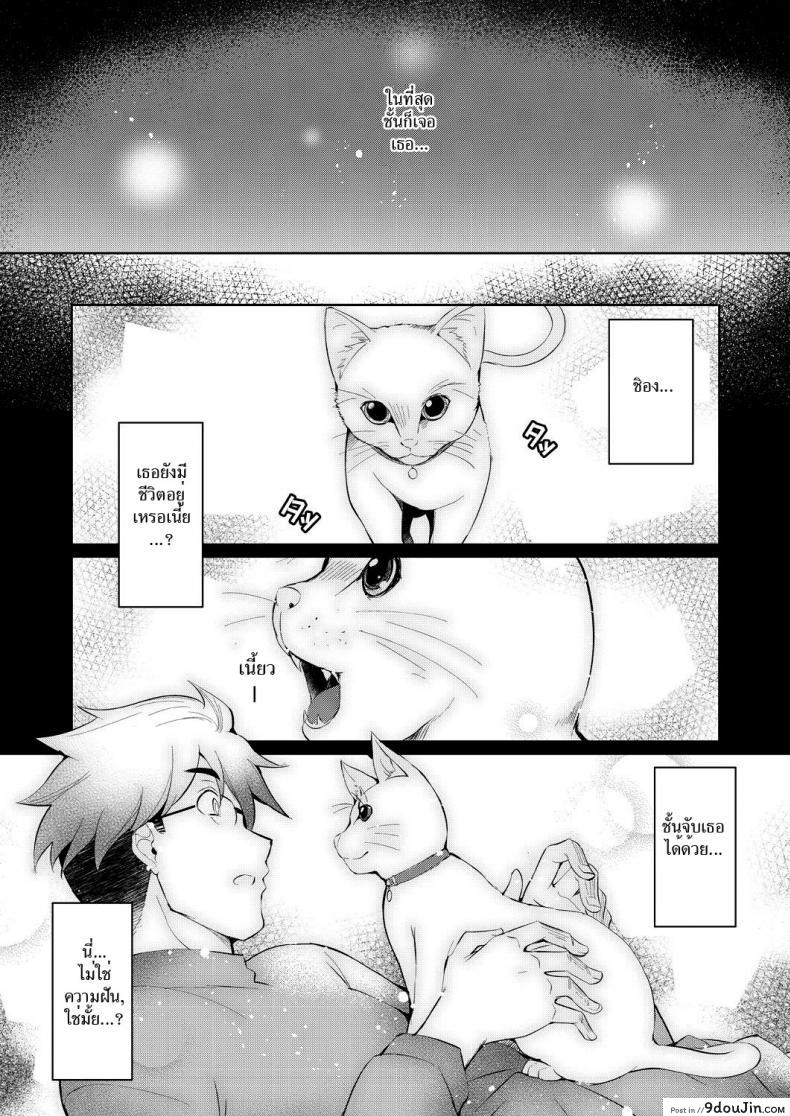 a6c1ce46e858a82bb8769311cc6b49d9