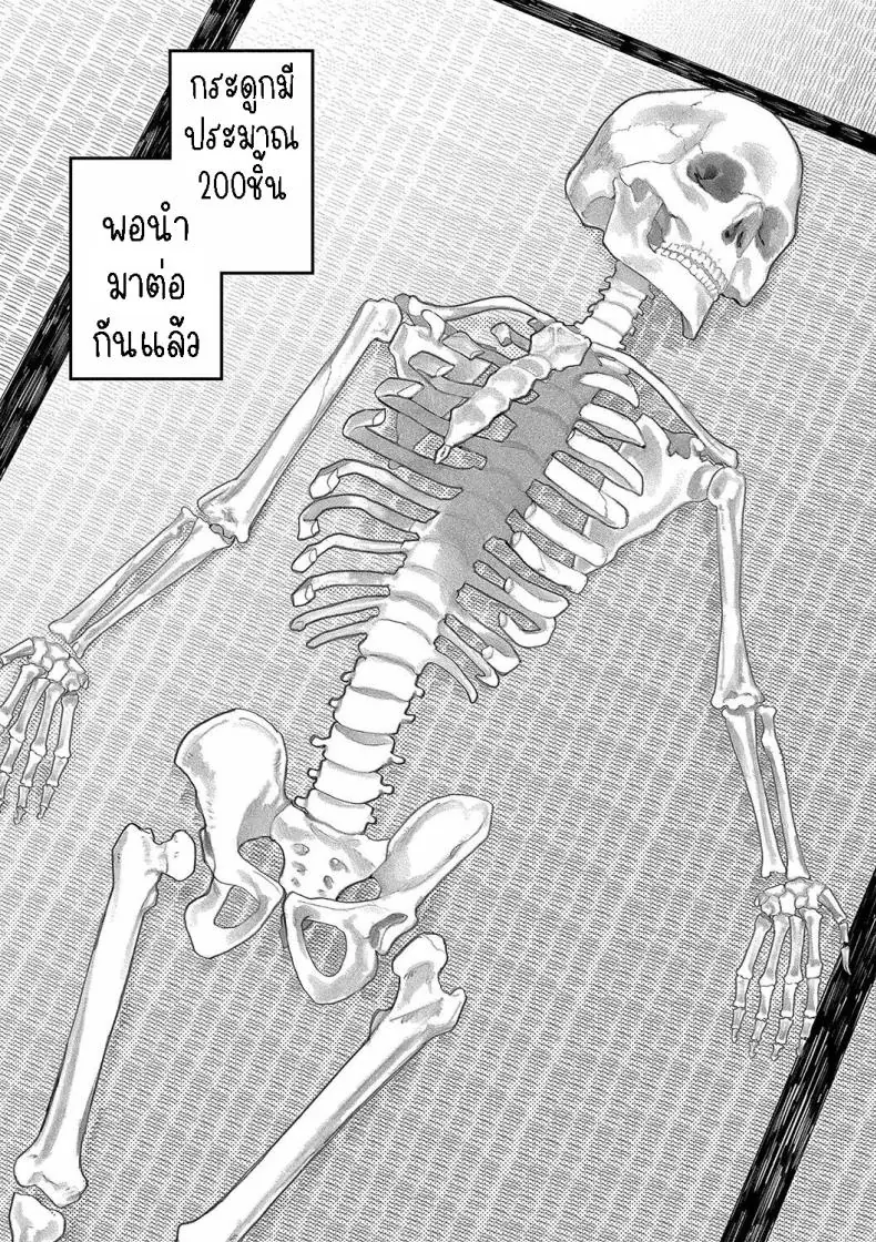 อ่านโดจิน กระดูกสุดน่ากลัวตื่นมาอีกทีเธอเป็นสาวสวย [Higeta] Phaser