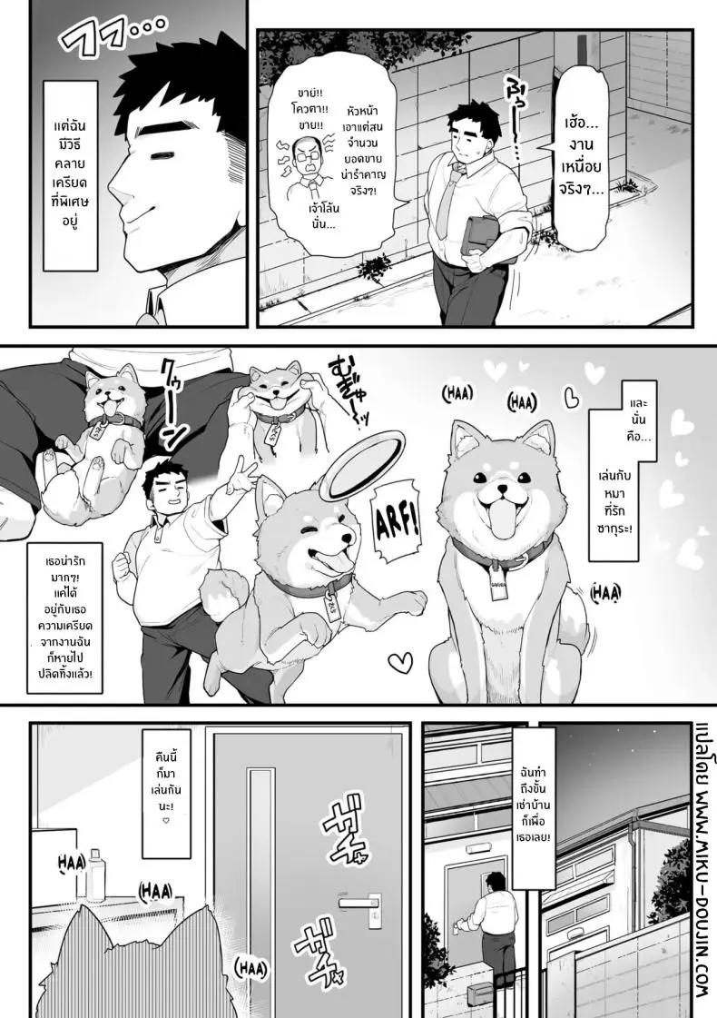 อ่านโดจิน หนุ่มใหญ่กับน้องหมาที่เปลี่ยนร่างได้ [Kanabun] Sakura to Asobo! ~Chiccha Kawaii Joshi ni Henshin shita Aiken to Wanwan Koubi Therapy~